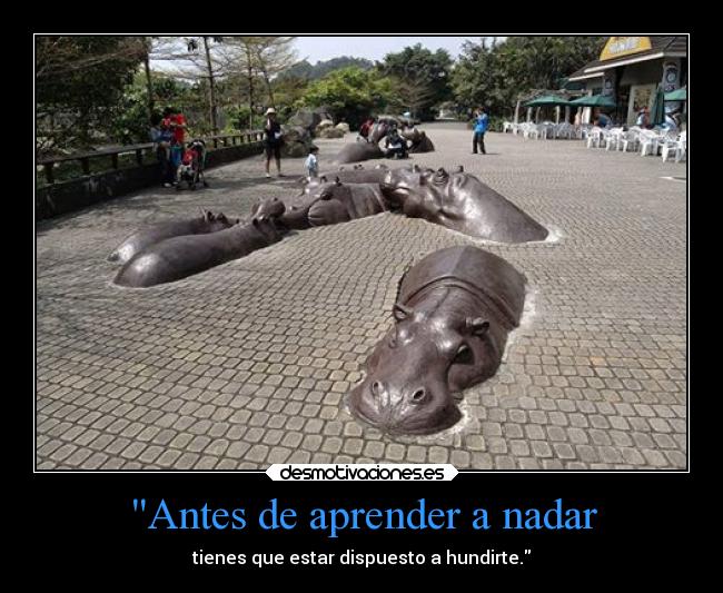 Antes de aprender a nadar - tienes que estar dispuesto a hundirte.