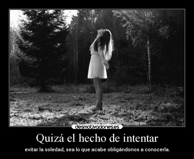 Quizá el hecho de intentar - 