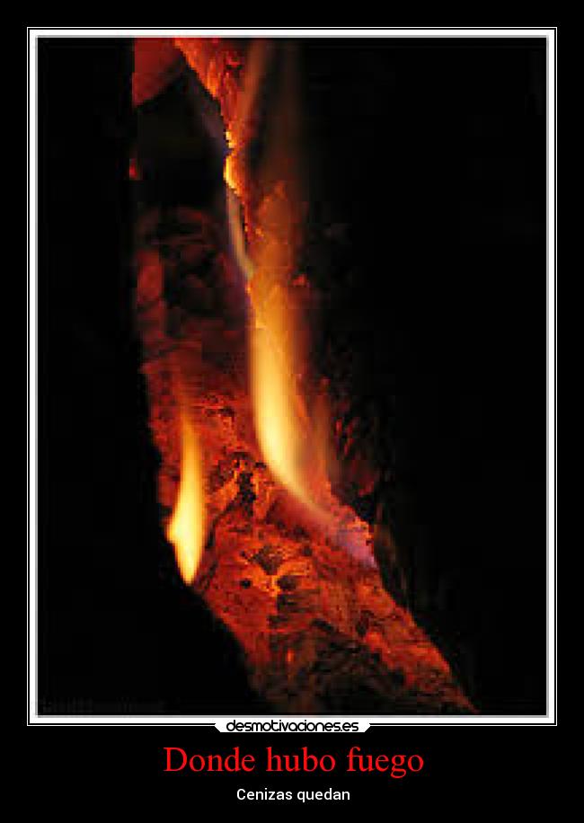 Donde hubo fuego -