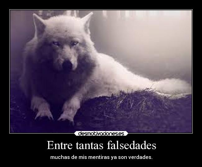 Entre tantas falsedades -