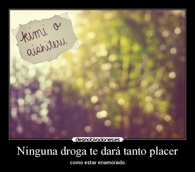 Ninguna droga te dará tanto placer - como estar enamorado.