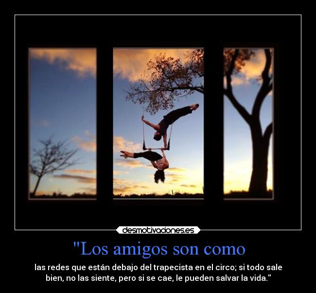 Los amigos son como - las redes que están debajo del trapecista en el circo; si todo sale
bien, no las siente, pero si se cae, le pueden salvar la vida.