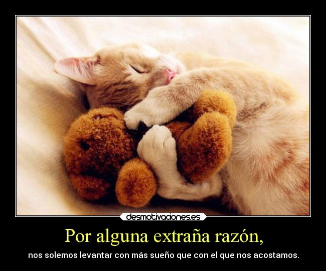 Por alguna extraña razón, - nos solemos levantar con más sueño que con el que nos acostamos.