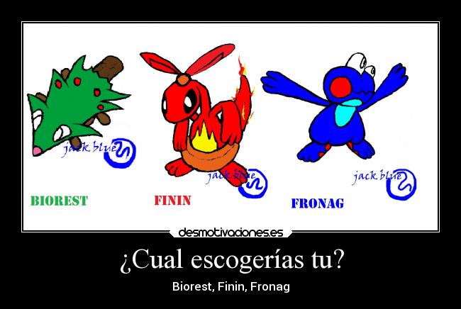 ¿Cual escogerías tu? - Biorest, Finin, Fronag