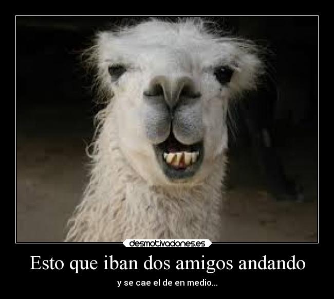 carteles amigos amigos paseando desmotivaciones