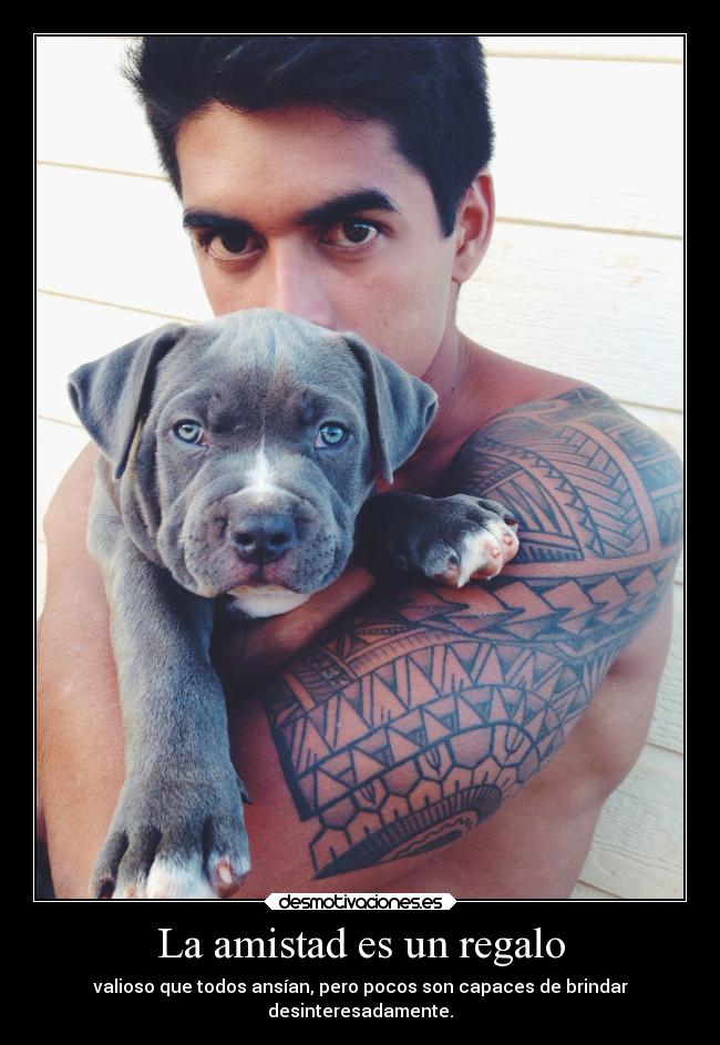 carteles amistad abrazos desmotivaciones