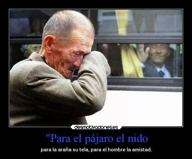 Para el pájaro el nido - para la araña su tela, para el hombre la amistad.