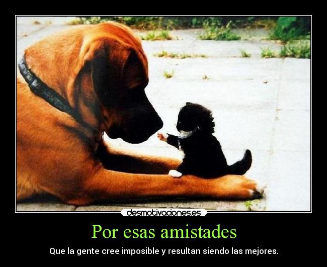 Por esas amistades - 