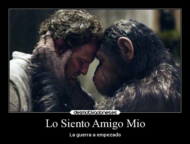 Lo Siento Amigo Mio -