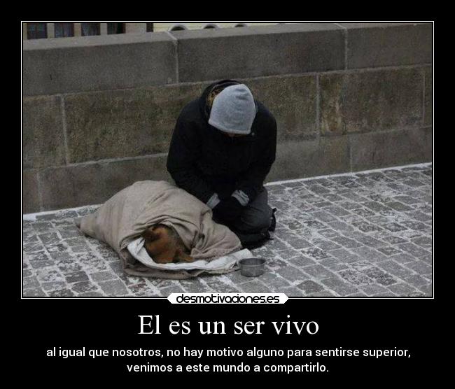 El es un ser vivo - al igual que nosotros, no hay motivo alguno para sentirse superior,
venimos a este mundo a compartirlo.