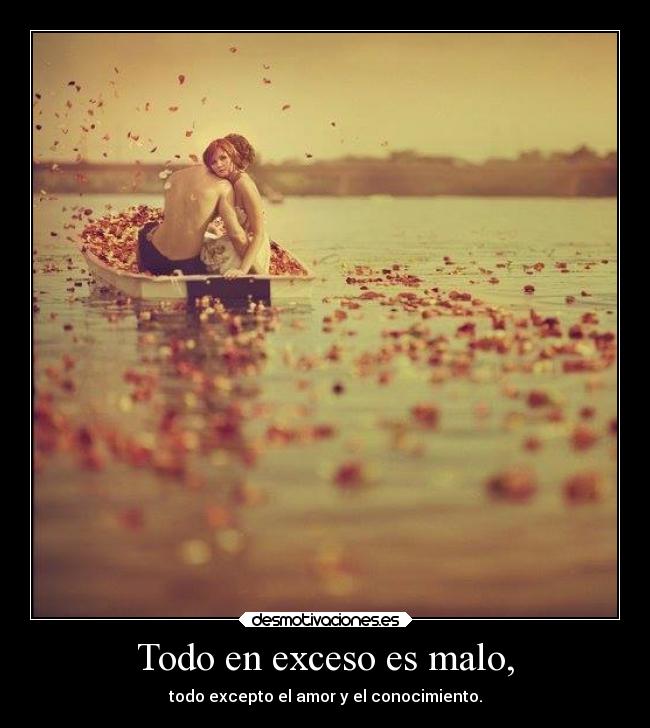 carteles amor conocimiento desmotivaciones