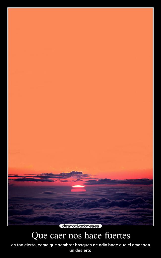 Que caer nos hace fuertes - es tan cierto, como que sembrar bosques de odio hace que el amor sea
un desierto.
