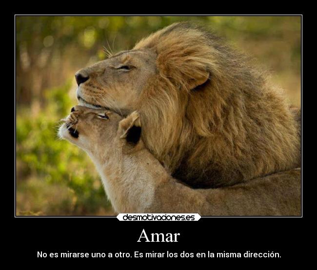 Amar - No es mirarse uno a otro. Es mirar los dos en la misma dirección.