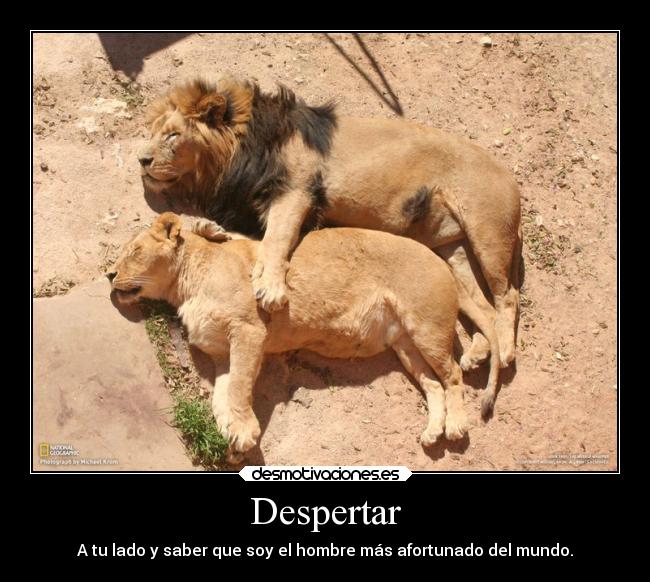 Despertar -