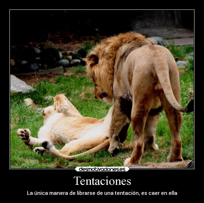 Tentaciones -
