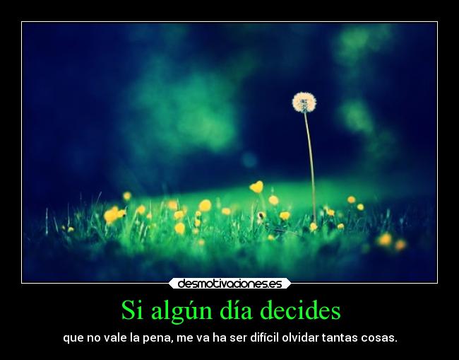 Si algún día decides - que no vale la pena, me va ha ser difícil olvidar tantas cosas.
