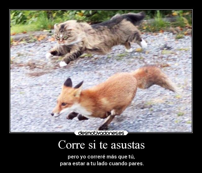 Corre si te asustas - pero yo correré más que tú,
 para estar a tu lado cuando pares.