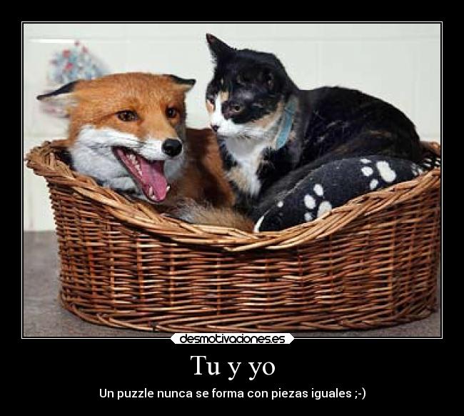 carteles amor desmotivaciones