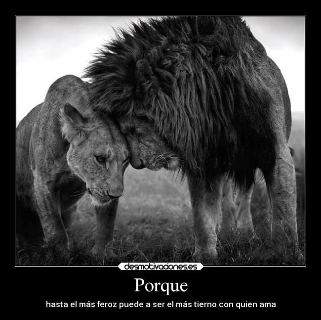 Porque - 