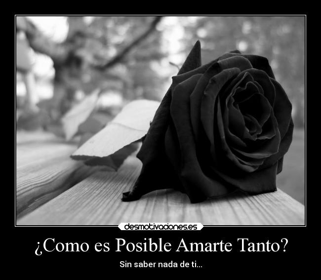 ¿Como es Posible Amarte Tanto? - Sin saber nada de ti...