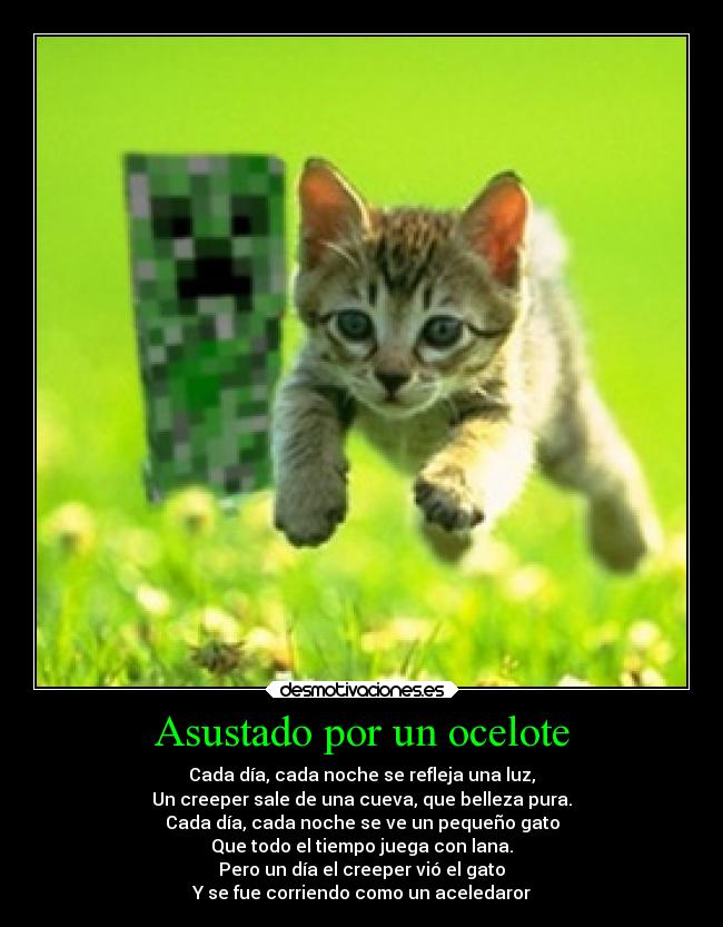 Asustado por un ocelote - Cada día, cada noche se refleja una luz,
Un creeper sale de una cueva, que belleza pura.
Cada día, cada noche se ve un pequeño gato
Que todo el tiempo juega con lana.
Pero un día el creeper vió el gato
Y se fue corriendo como un aceledaror
