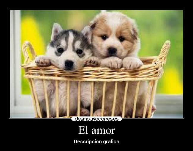 carteles amor amor desmotivaciones