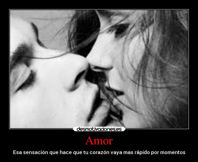 Amor - 