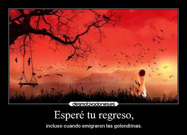 Esperé tu regreso, - incluso cuando emigraron las golondrinas.