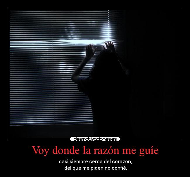 Voy donde la razón me guíe - 