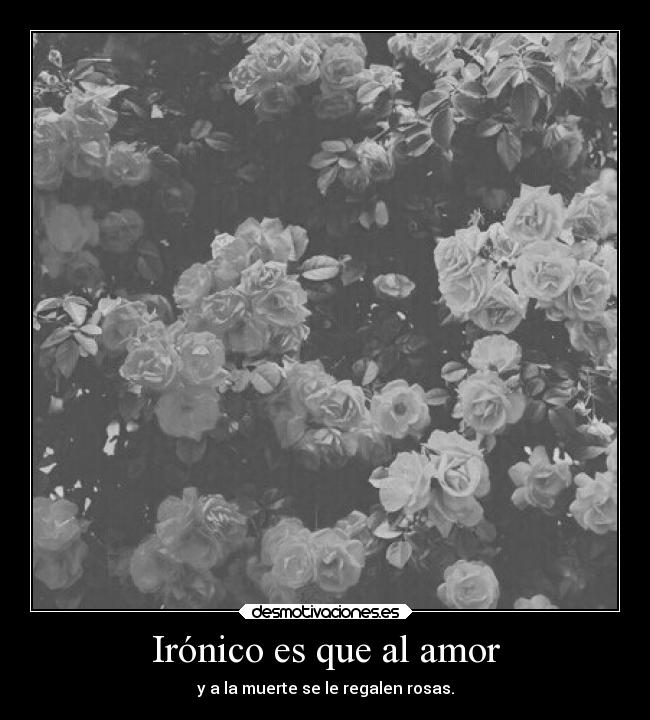 carteles amor muerte amor kurara7 desmotivaciones