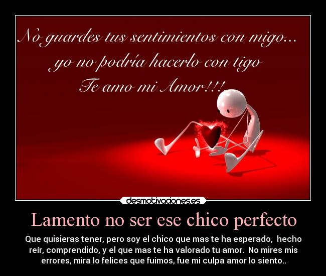 Lamento no ser ese chico perfecto - 