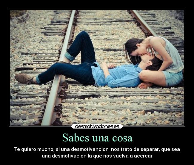 carteles amor perdon desmotivaciones