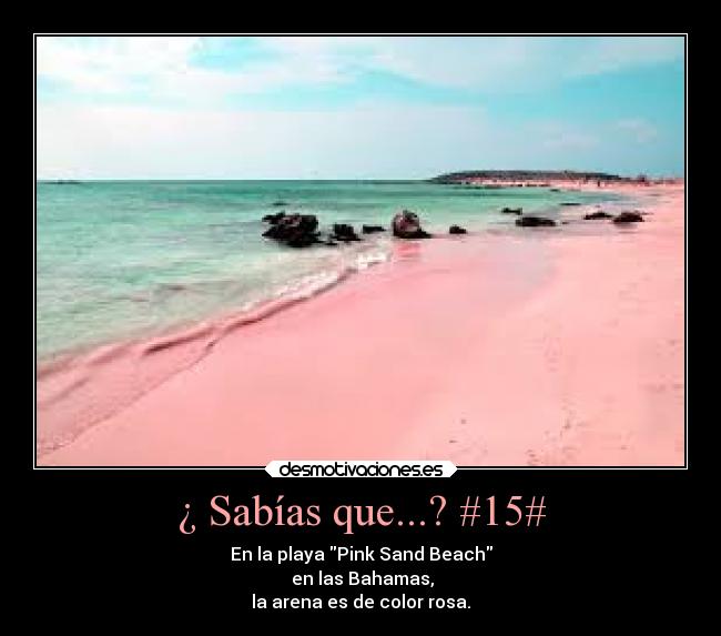 ¿ Sabías que...? #15# - 