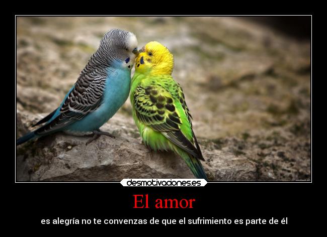 El amor - es alegría no te convenzas de que el sufrimiento es parte de él