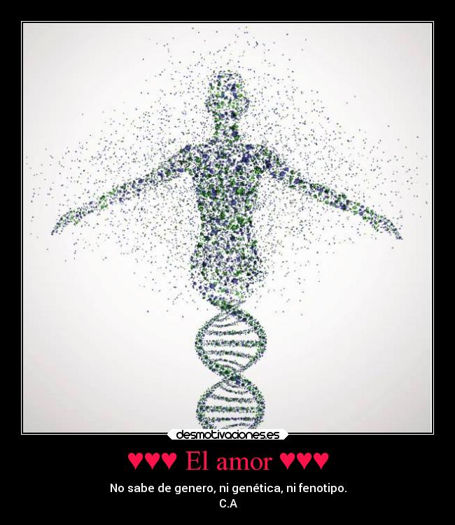 ♥♥♥ El amor ♥♥♥ - No sabe de genero, ni genética, ni fenotipo.
C.A
