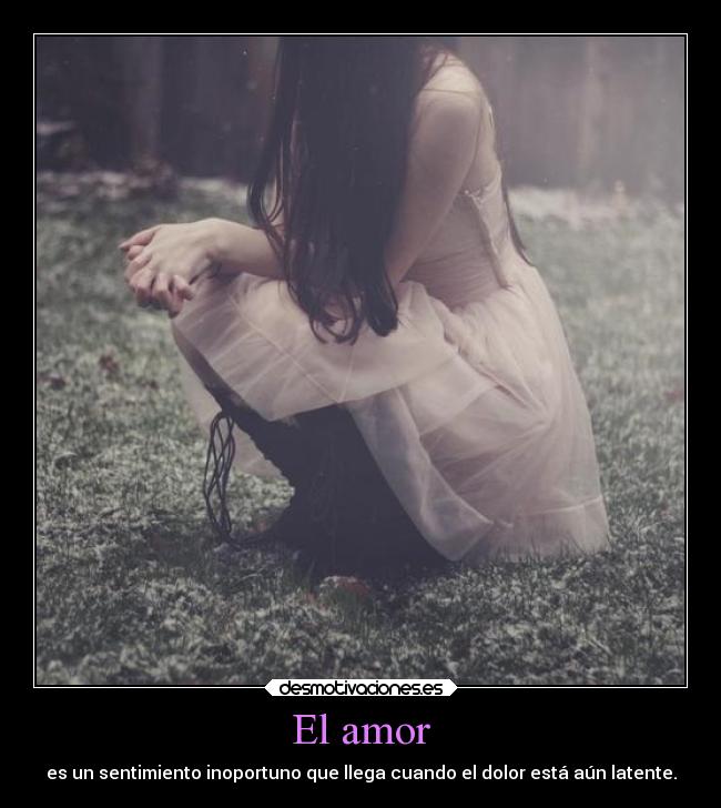 El amor -