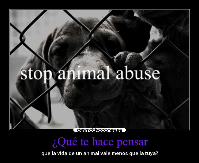 ¿Qué te hace pensar - que la vida de un animal vale menos que la tuya?