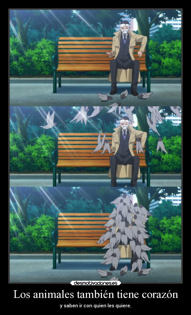 Los animales también tiene corazón -