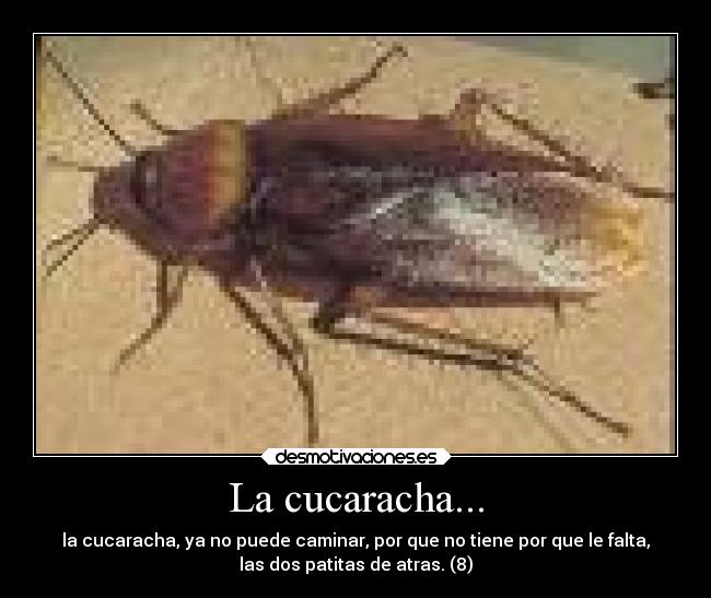 La cucaracha... - la cucaracha, ya no puede caminar, por que no tiene por que le falta,
las dos patitas de atras. (8)