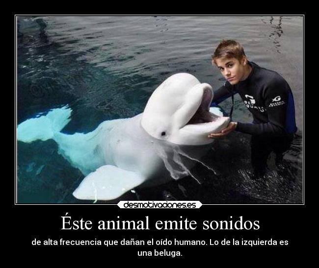 Éste animal emite sonidos -