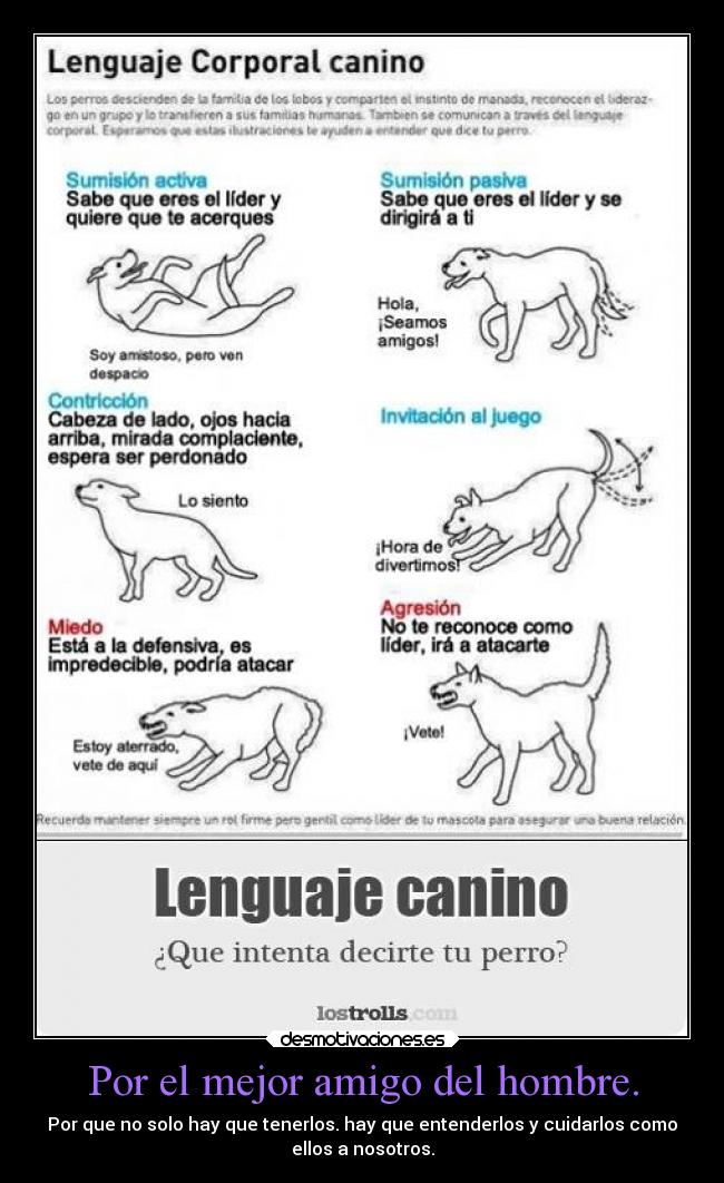 Por el mejor amigo del hombre. - Por que no solo hay que tenerlos. hay que entenderlos y cuidarlos como
ellos a nosotros.