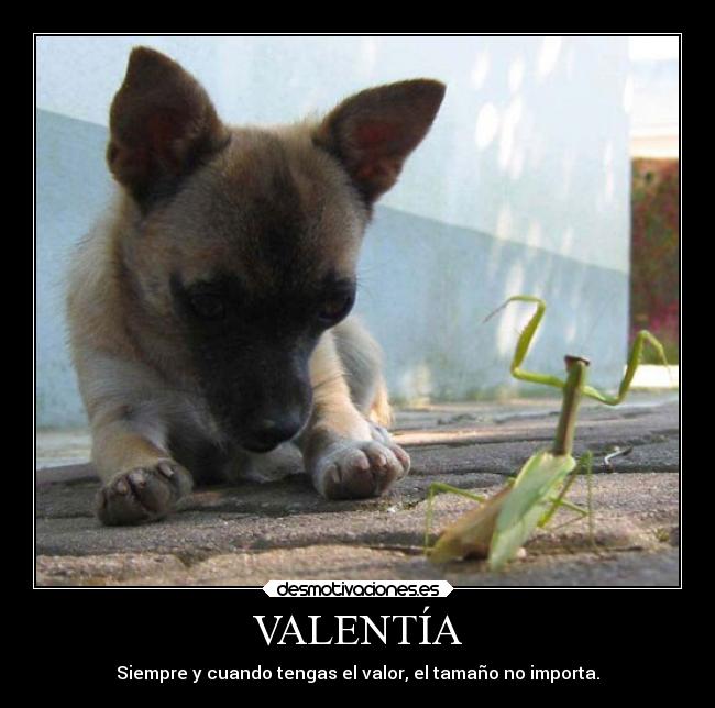 VALENTÍA -