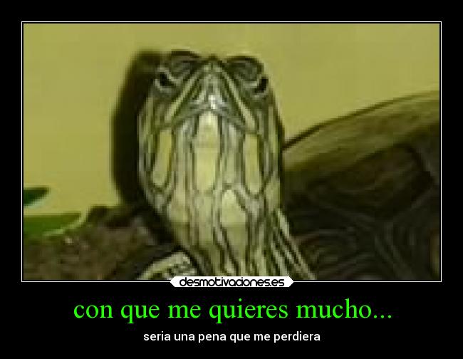 carteles animales desmotivaciones