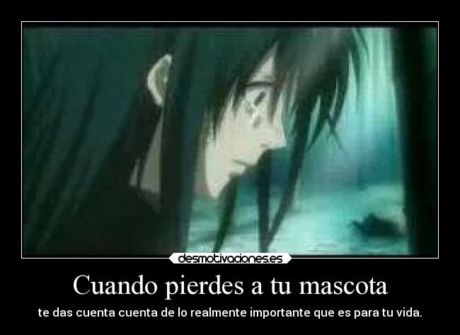 Cuando pierdes a tu mascota - te das cuenta cuenta de lo realmente importante que es para tu vida.