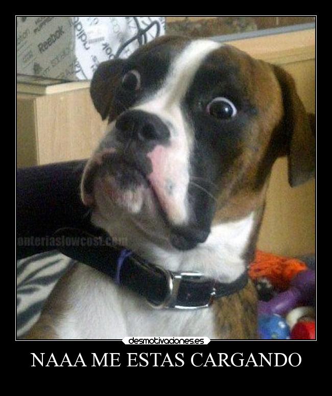 NAAA ME ESTAS CARGANDO -