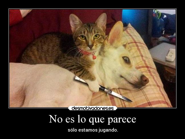 No es lo que parece -