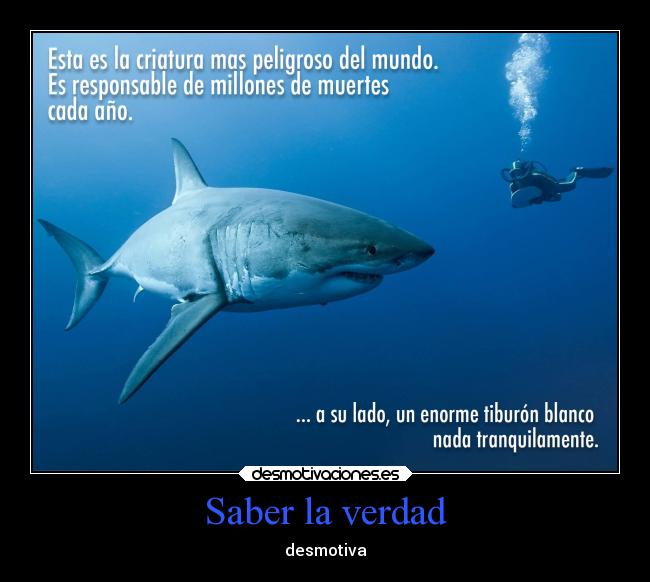 Saber la verdad - 