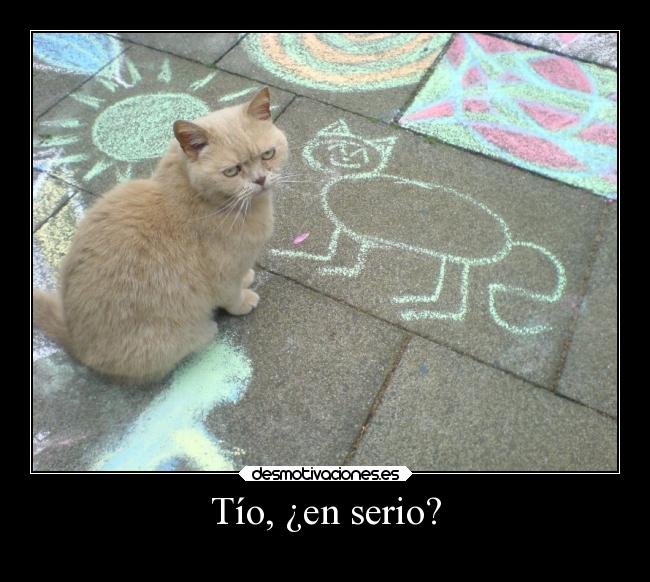 carteles animales directionerloveforever gatitomonoso desmotivaciones