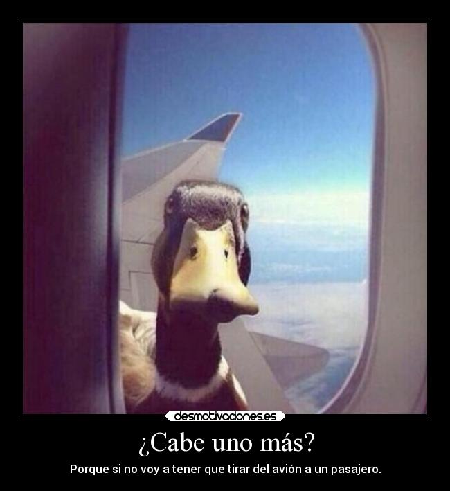 ¿Cabe uno más? - Porque si no voy a tener que tirar del avión a un pasajero.