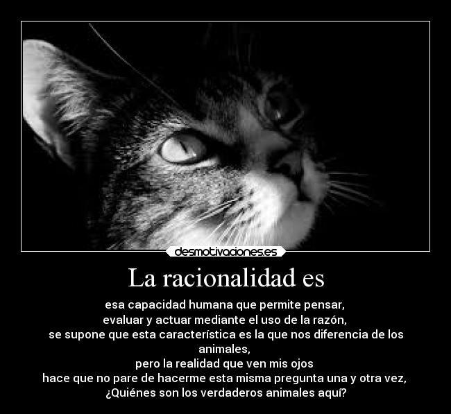 La racionalidad es -